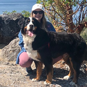 Seattle. Doggy Discovery Exploration
