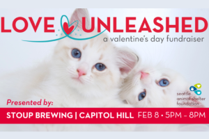 Love Unleashed A Valentine's Day Fur-raiser