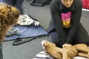 Pet First Aid Class