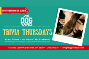 Trivia Night At The Dog Yard Bar