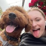 Seattle Evening & Vacation Pet Visits
