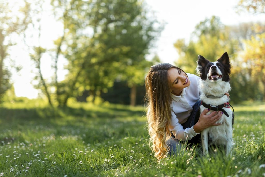 Happy dog