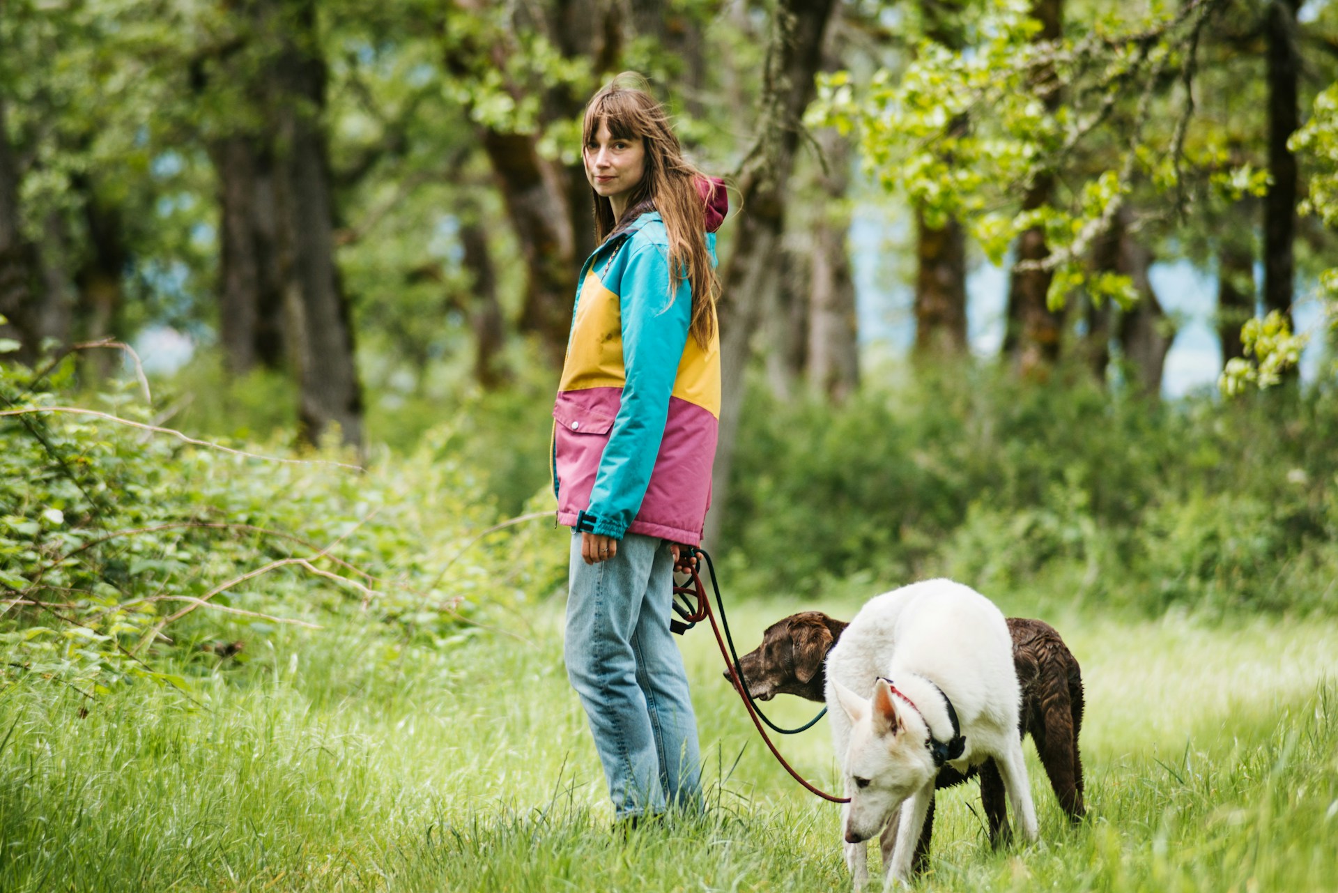 enrichment-focused dog walking