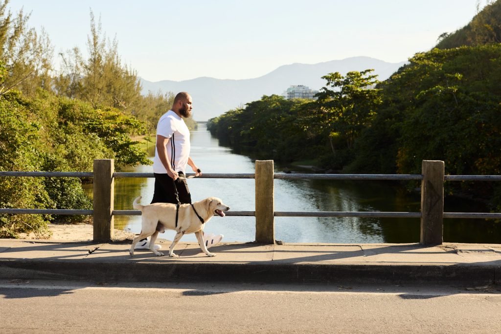 dog walking