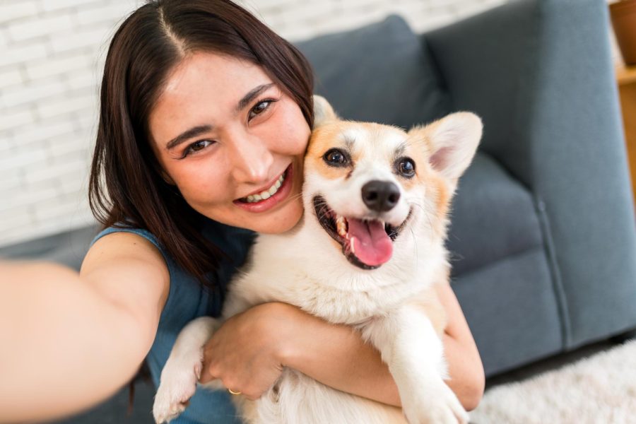 happy dog and fur parent