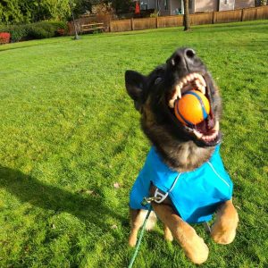 Walking Advanture+Playtime